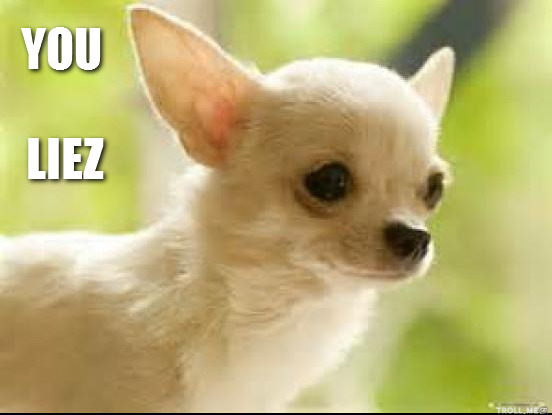 you-liez.jpg.png