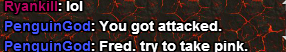 noobs 4.png