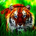 IMG_20130806_231100.jpg