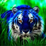 IMG_20130811_225430.jpg