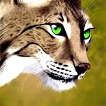 IMG_20130819_224546.jpg