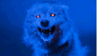 3097599_t.gif