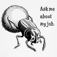 dungbeetle.png