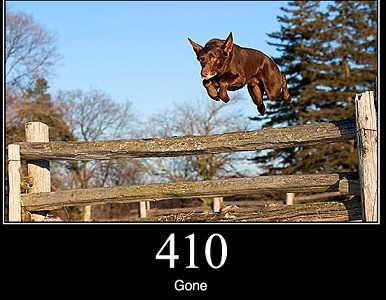 410.jpg