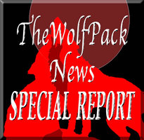 Special_Report.jpg