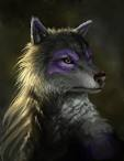 wolf-warrior..png