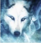 Spirit wolf.jpg