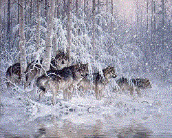 winterwolves.gif