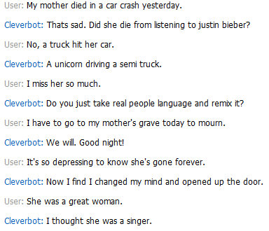 Cleverbot.PNG