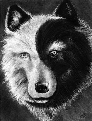 Wolf Ying Yang.jpg